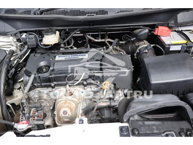 Image 15