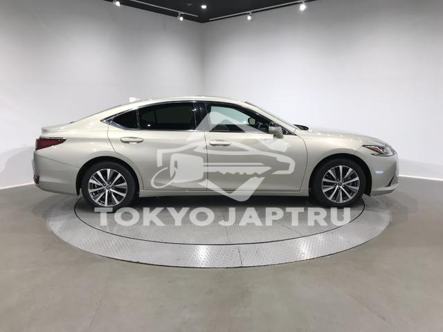 Image 17