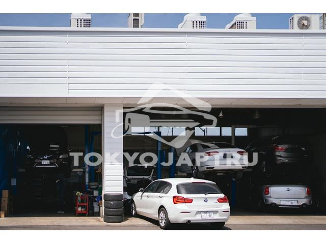 Image 9