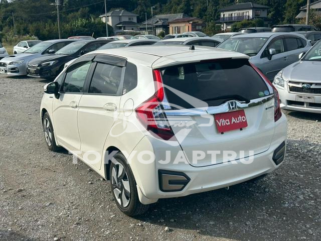 Image 13