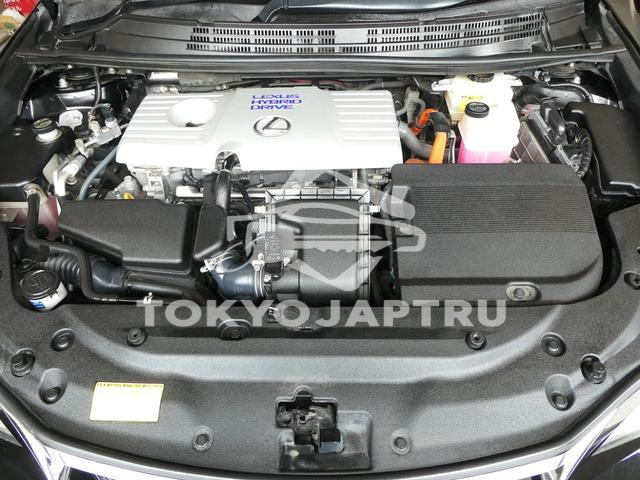 Image 8