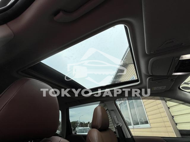 Image 12
