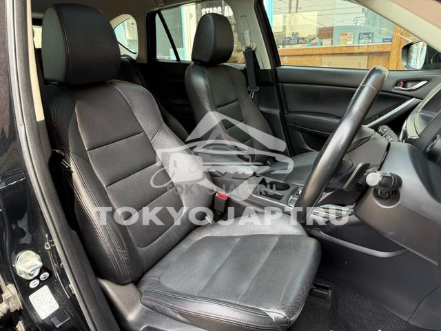 Image 7