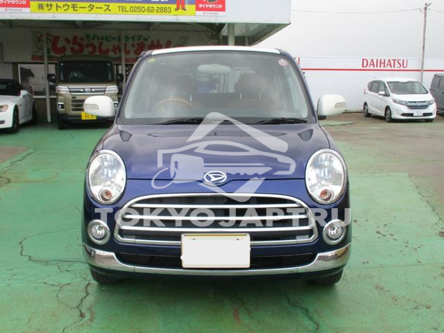 Image 5