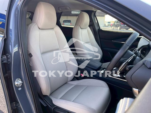 Image 13
