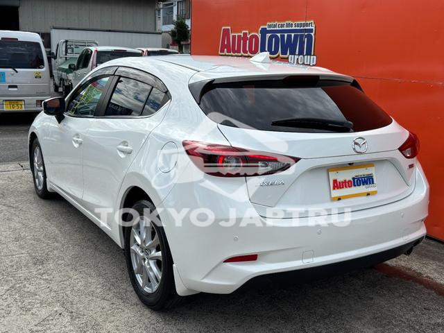 Image 15
