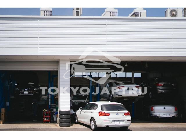 Image 9