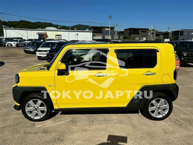 Image 10