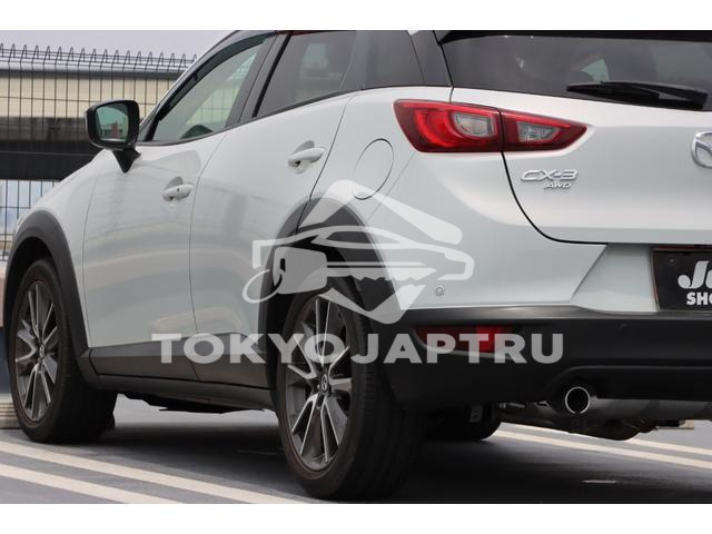 Image 20