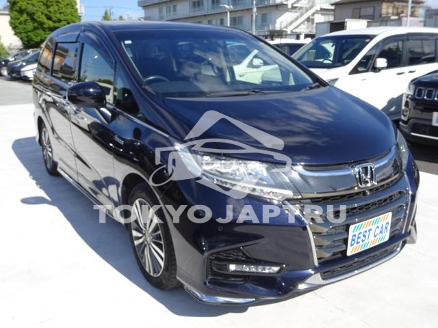 Image 7
