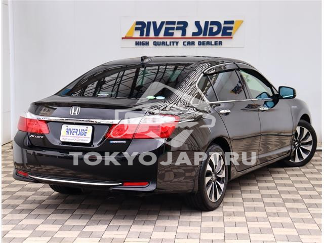 Image 6