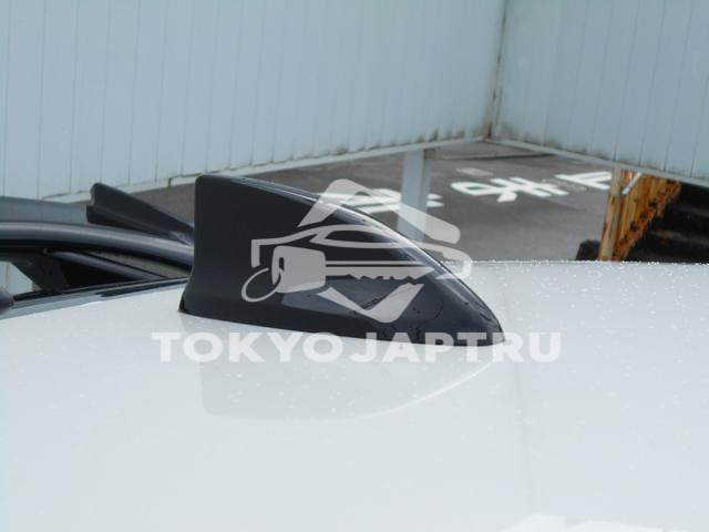 Image 11