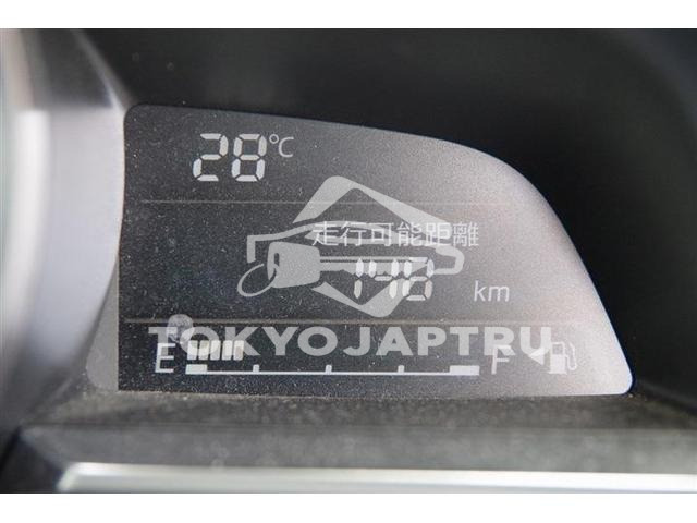 Image 19